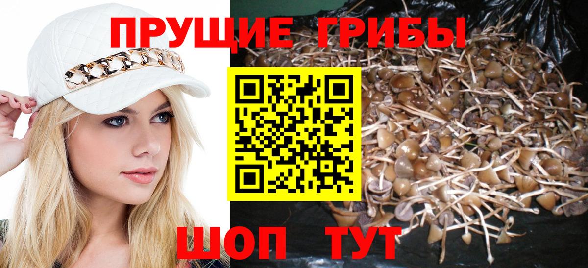 Галлюциногенные грибы мухоморы  Вход с VPN  наркота  Прокопьевск 